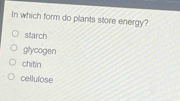 in which form do plants store energy?\no starch\no glycogen\no chitin\no cellulose