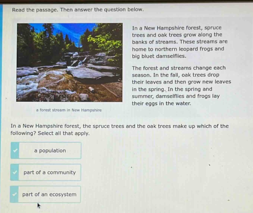 read the passage. then answer the question below.\nin a new hampshire forest, spruce trees and oak trees grow along the banks of streams. these streams are home to northern leopard frogs and big bluet damselflies.\nthe forest and streams change each season. in the fall, oak trees drop their leaves and then grow new leaves in the spring. in the spring and summer, damselflies and frogs lay their eggs in the water.\nin a new hampshire forest, the spruce trees and the oak trees make up which of the following? select all that apply.\na population\npart of a community\npart of an ecosystem