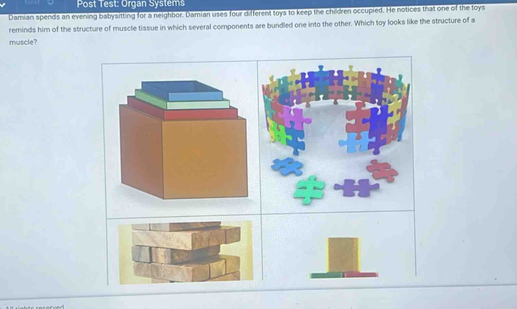damian spends an evening babysitting for a neighbor. damian uses four different toys to keep the children occupied. he notices that one of the toys reminds him of the structure of muscle tissue in which several components are bundled one into the other. which toy looks like the structure of a muscle?