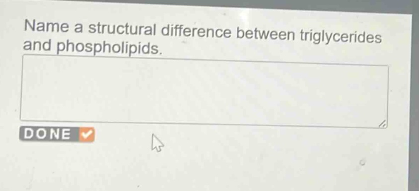 name a structural difference between triglycerides and phospholipids.