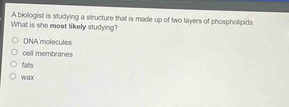 a biologist is studying a structure that is made up of two layers of phospholipids. what is she most likely studying?\ndna molecules\ncell membranes\nfats\nwax