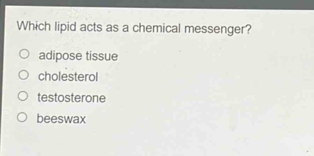 which lipid acts as a chemical messenger?\no adipose tissue\no cholesterol\no testosterone\no beeswax