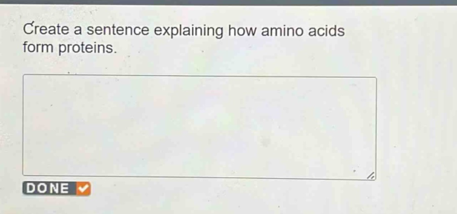 create a sentence explaining how amino acids form proteins.