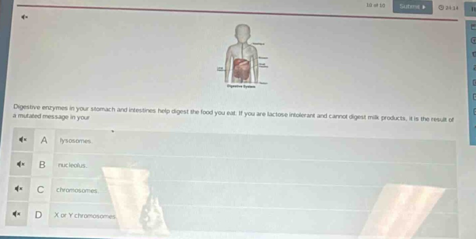 digestive enzymes in your stomach and intestines help digest the food you eat. if you are lactose intolerant and cannot digest milk products, it is the result of a mutated message in your\na lysosomes.\nb nucleolus.\nc chromosomes.\nd x or y chromosomes.