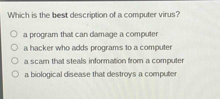 which is the best description of a computer virus?\n a program that can damage a computer\n a hacker who adds programs to a computer\n a scam that steals information from a computer\n a biological disease that destroys a computer