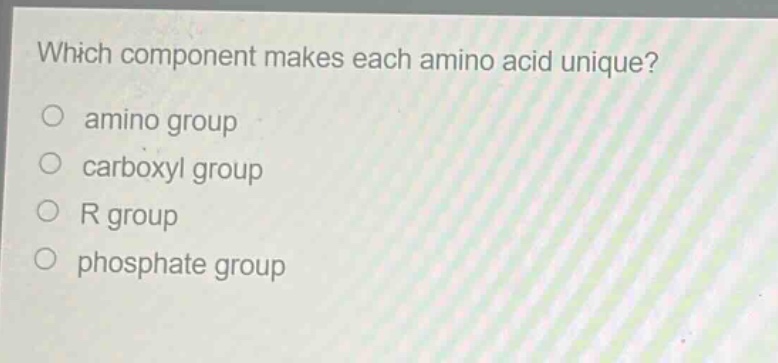 which component makes each amino acid unique?\namino group\ncarboxyl group\nr group\nphosphate group