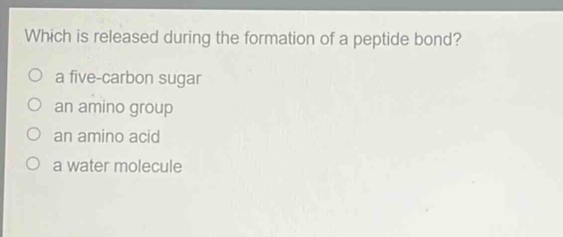which is released during the formation of a peptide bond?\no a five - carbon sugar\no an amino group\no an amino acid\no a water molecule