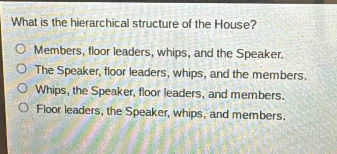 what is the hierarchical structure of the house?\no members, floor leaders, whips, and the speaker.\no the speaker, floor leaders, whips, and the members.\no whips, the speaker, floor leaders, and members.\no floor leaders, the speaker, whips, and members.
