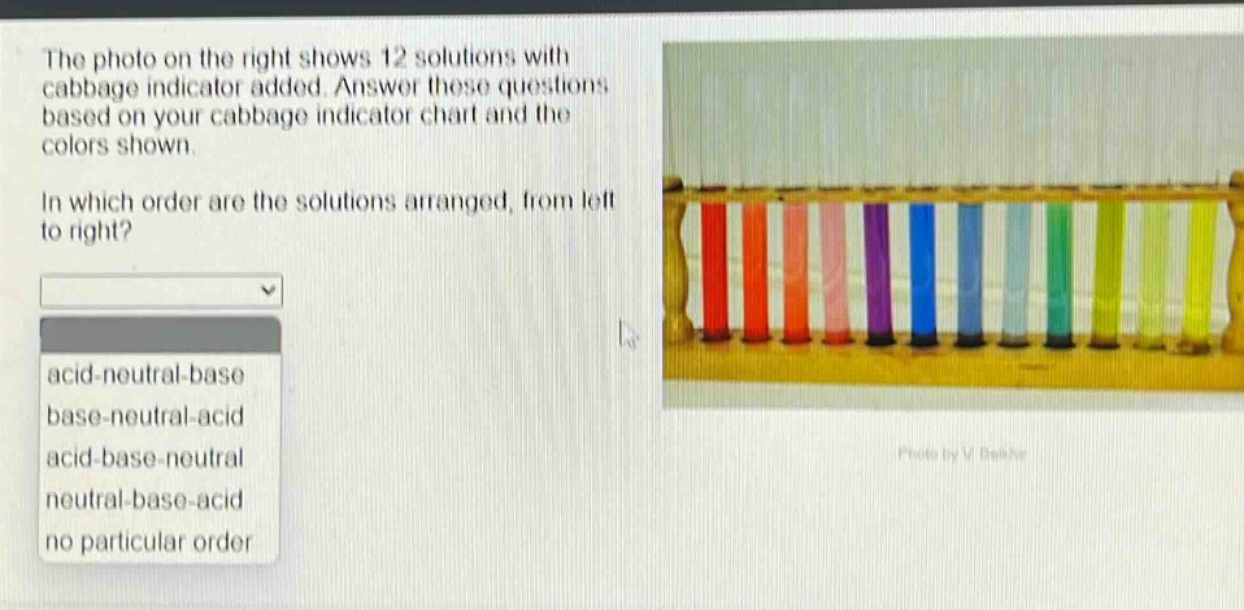 the photo on the right shows 12 solutions with cabbage indicator added. answer these questions based on your cabbage indicator chart and the colors shown.\nin which order are the solutions arranged, from left to right?\nacid - neutral - base\nbase - neutral - acid\nacid - base - neutral\nneutral - base - acid\nno particular order