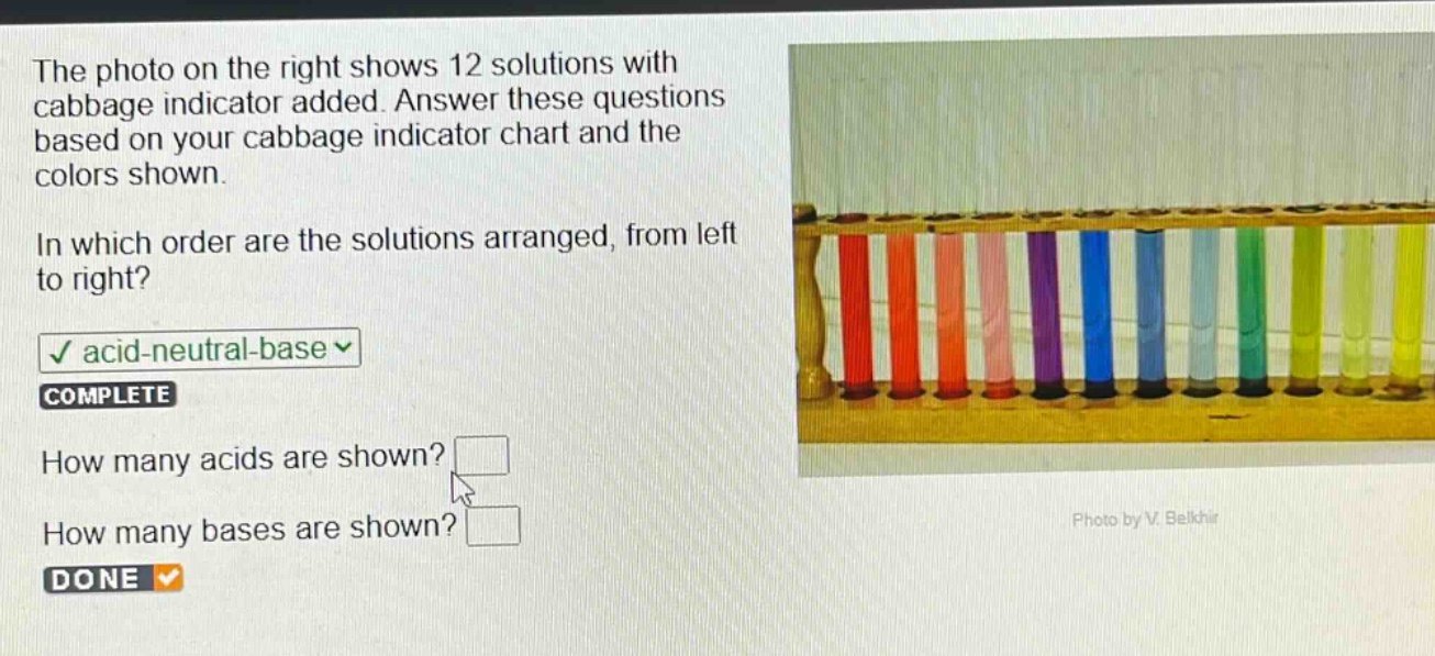 the photo on the right shows 12 solutions with cabbage indicator added. answer these questions based on your cabbage indicator chart and the colors shown.\nin which order are the solutions arranged, from left to right?\nacid - neutral - base\ncomplete\nhow many acids are shown?\nhow many bases are shown?\ndone