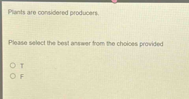 plants are considered producers. please select the best answer from the choices provided\no t\no f