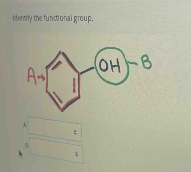 identify the functional group.
