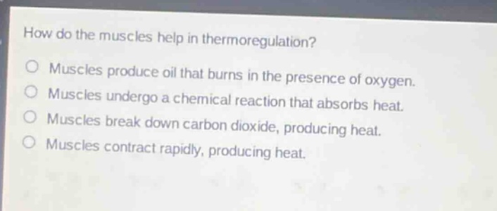 how do the muscles help in thermoregulation?\nmuscles produce oil that burns in the presence of oxygen.\nmuscles undergo a chemical reaction that absorbs heat.\nmuscles break down carbon dioxide, producing heat.\nmuscles contract rapidly, producing heat.
