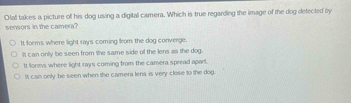 olaf takes a picture of his dog using a digital camera. which is true regarding the image of the dog detected by sensors in the camera?\nit forms where light rays coming from the dog converge.\nit can only be seen from the same side of the lens as the dog.\nit forms where light rays coming from the camera spread apart.\nit can only be seen when the camera lens is very close to the dog.