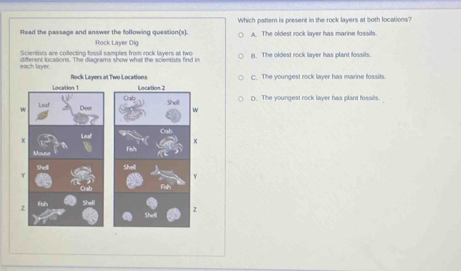 read the passage and answer the following question(s). rock layer dig scientists are collecting fossil samples from rock layers at two different locations. the diagrams show what the scientists find in each layer. rock layers at two locations location 1 location 2 which pattern is present in the rock layers at both locations? a. the oldest rock layer has marine fossils. b. the oldest rock layer has plant fossils. c. the youngest rock layer has marine fossils. d. the youngest rock layer has plant fossils.