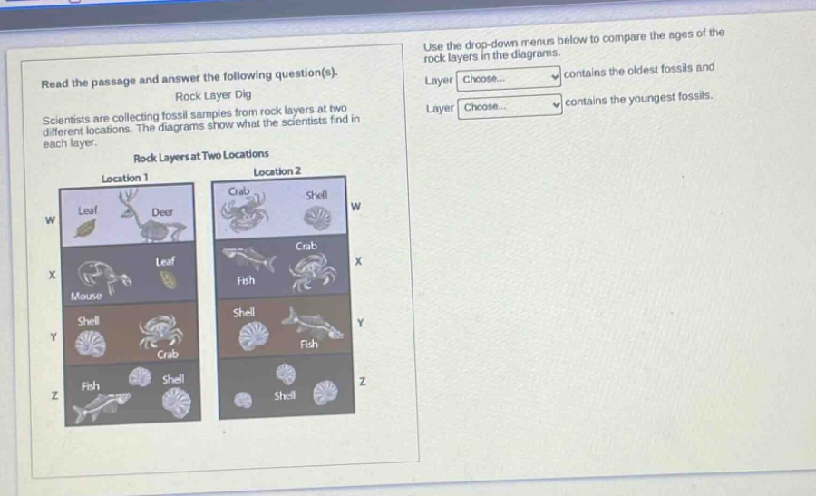 read the passage and answer the following question(s). rock layer dig scientists are collecting fossil samples from rock layers at two different locations. the diagrams show what the scientists find in each layer. rock layers at two locations location 1 location 2 use the drop - down menus below to compare the ages of the rock layers in the diagrams. layer choose... contains the oldest fossils and layer choose... contains the youngest fossils.