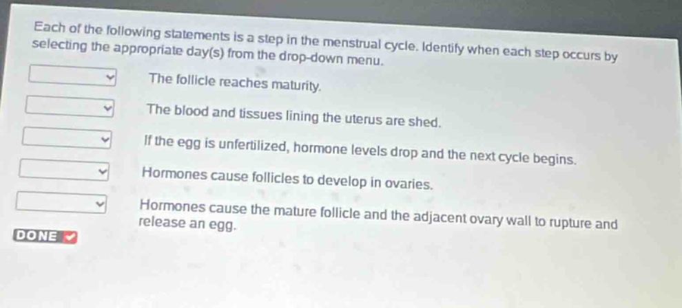 each of the following statements is a step in the menstrual cycle. identify when each step occurs by selecting the appropriate day(s) from the drop - down menu.\nthe follicle reaches maturity.\nthe blood and tissues lining the uterus are shed.\nif the egg is unfertilized, hormone levels drop and the next cycle begins.\nhormones cause follicles to develop in ovaries.\nhormones cause the mature follicle and the adjacent ovary wall to rupture and release an egg.\ndone
