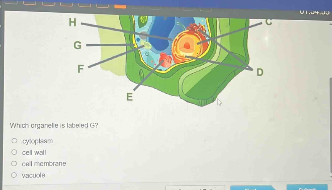 which organelle is labeled g?\n○ cytoplasm\n○ cell wall\n○ cell membrane\n○ vacuole