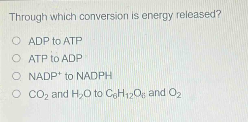 through which conversion is energy released?\no adp to atp\no atp to adp\no nadp⁺ to nadph\no co₂ and h₂o to c₆h₁₂o₆ and o₂