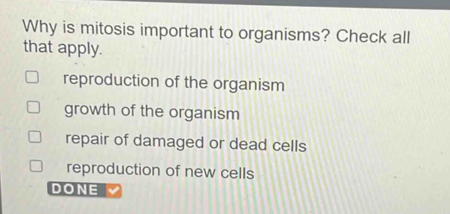 why is mitosis important to organisms? check all that apply. reproduction of the organism growth of the organism repair of damaged or dead cells reproduction of new cells done
