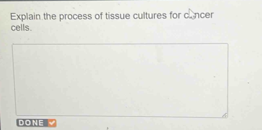 explain the process of tissue cultures for cancer cells.