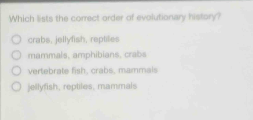 which lists the correct order of evolutionary history?\n○ crabs, jellyfish, reptiles\n○ mammals, amphibians, crabs\n○ vertebrate fish, crabs, mammals\n○ jellyfish, reptiles, mammals