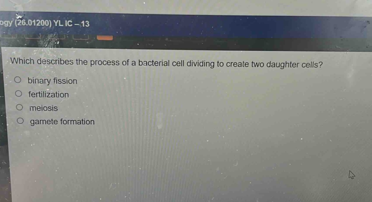 which describes the process of a bacterial cell dividing to create two daughter cells?\n○ binary fission\n○ fertilization\n○ meiosis\n○ gamete formation