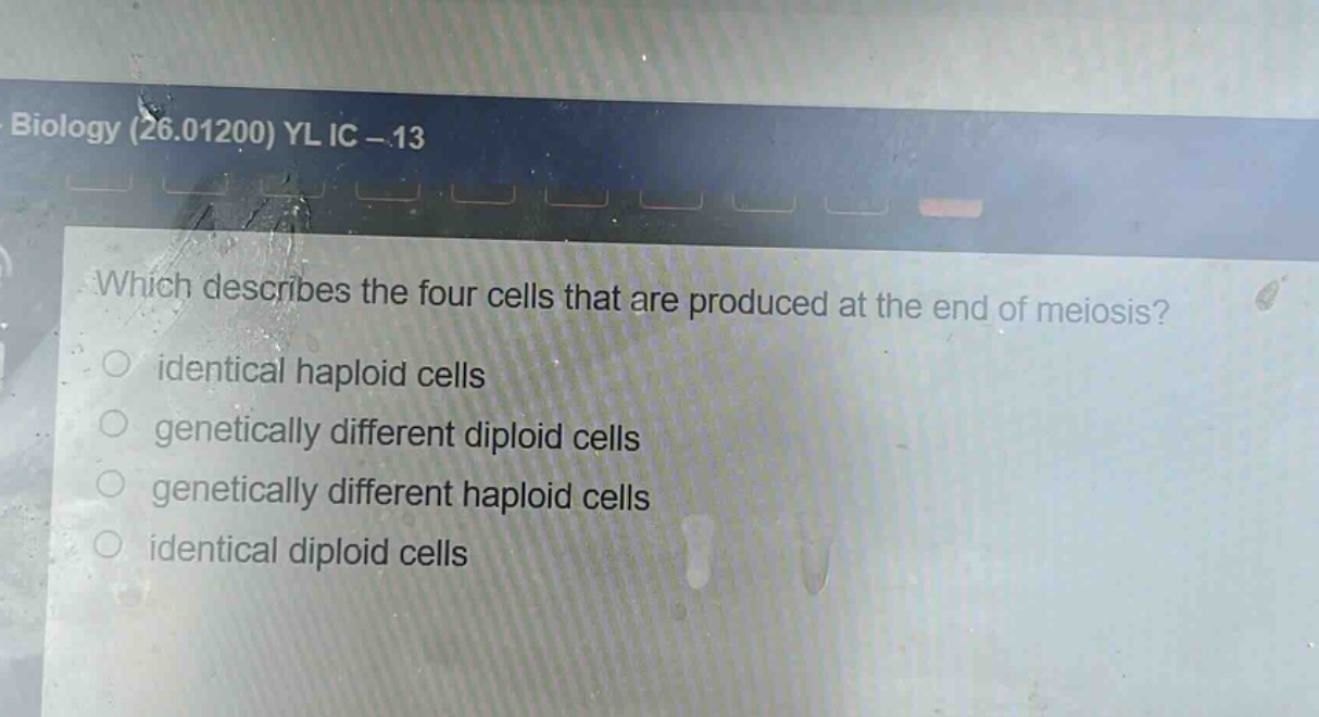 which describes the four cells that are produced at the end of meiosis?\nidentical haploid cells\ngenetically different diploid cells\ngenetically different haploid cells\nidentical diploid cells