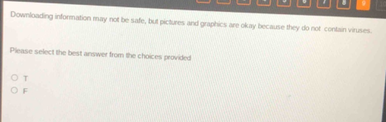 downloading information may not be safe, but pictures and graphics are okay because they do not contain viruses. please select the best answer from the choices provided o t o f
