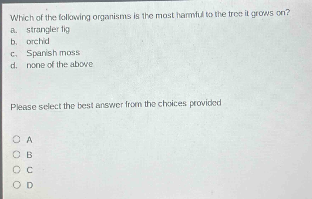 which of the following organisms is the most harmful to the tree it grows on?\na. strangler fig\nb. orchid\nc. spanish moss\nd. none of the above\nplease select the best answer from the choices provided\na\nb\nc\nd