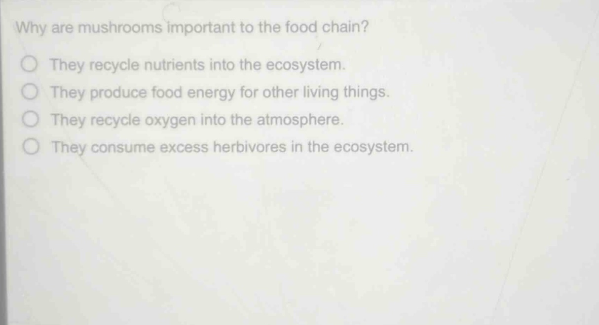 why are mushrooms important to the food chain?\nthey recycle nutrients into the ecosystem.\nthey produce food energy for other living things.\nthey recycle oxygen into the atmosphere.\nthey consume excess herbivores in the ecosystem.