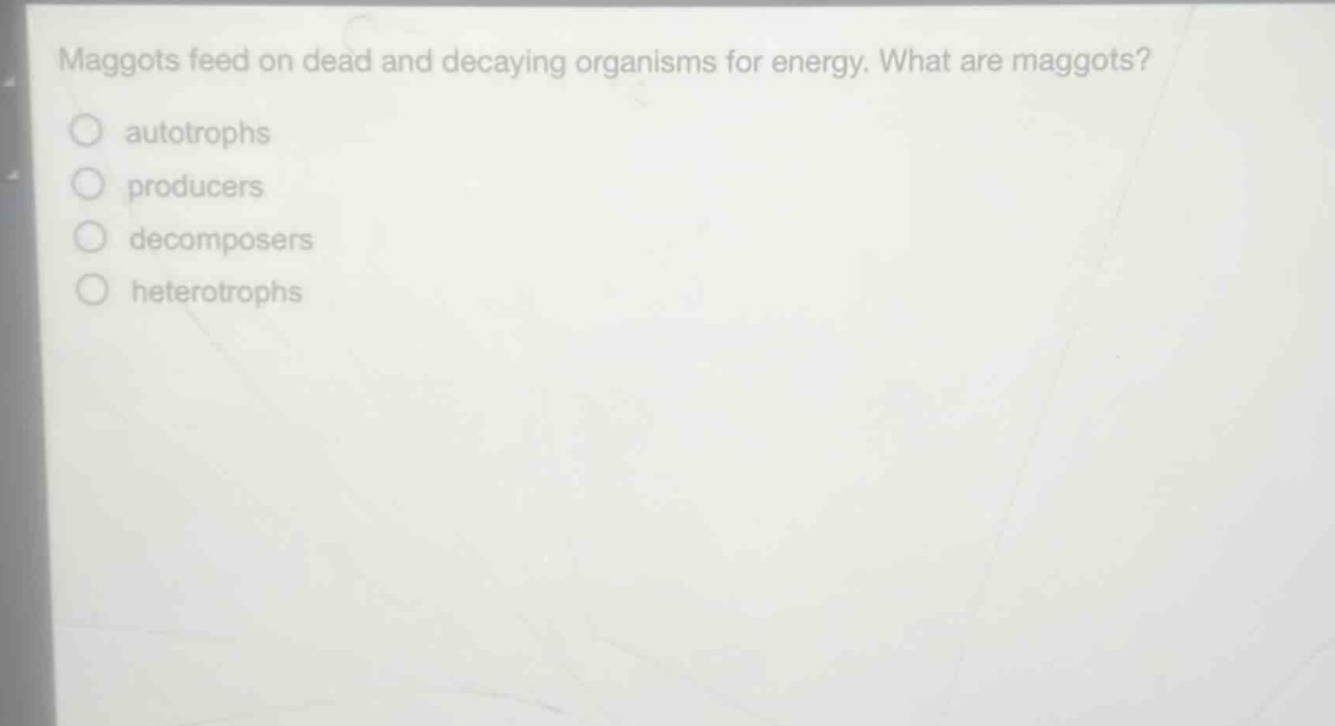 maggots feed on dead and decaying organisms for energy. what are maggots?\nautotrophs\nproducers\ndecomposers\nheterotrophs