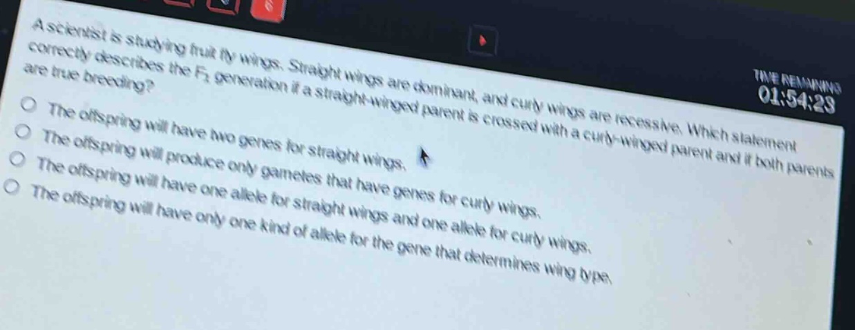 a scientist is studying fruit fly wings. straight wings are dominant, and curly wings are recessive. which statement correctly describes the f₁ generation if a straight - winged parent is crossed with a curly - winged parent and if both parents are true breeding?\nthe offspring will have two genes for straight wings.\nthe offspring will produce only gametes that have genes for curly wings.\nthe offspring will have one allele for straight wings and one allele for curly wings.\nthe offspring will have only one kind of allele for the gene that determines wing type.