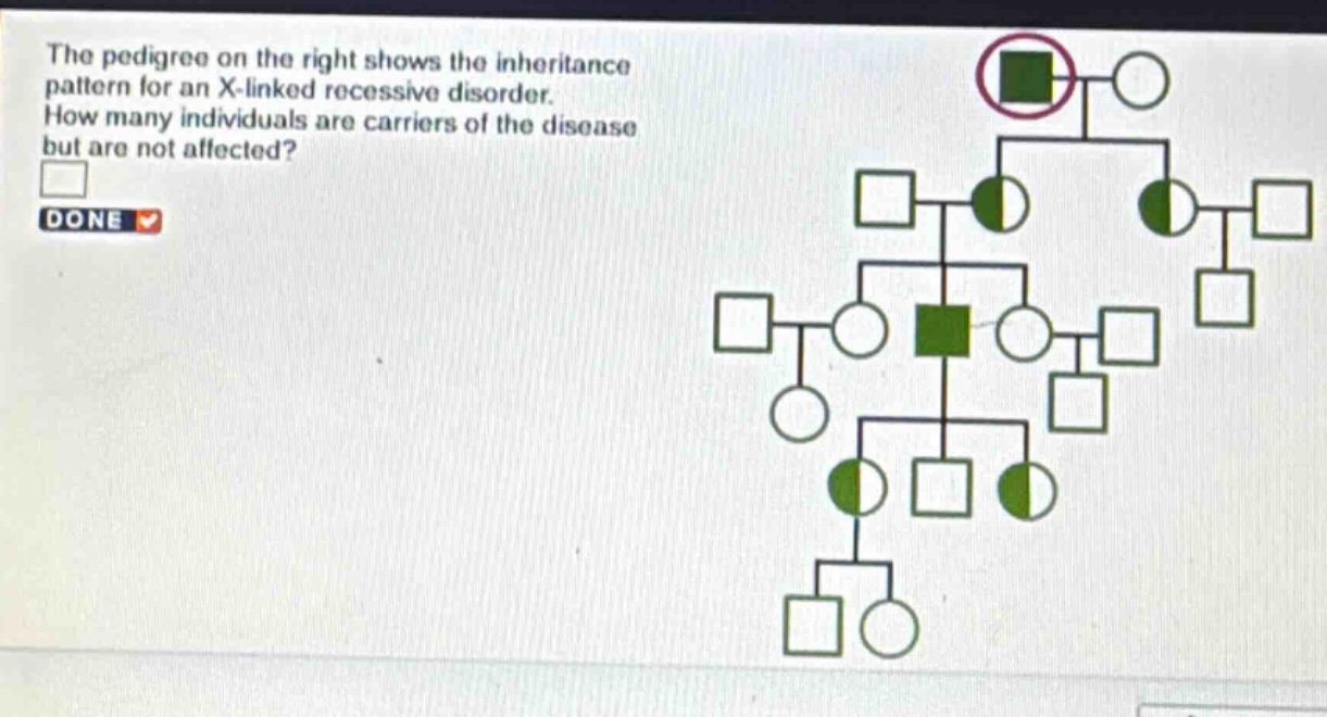 the pedigree on the right shows the inheritance pattern for an x - linked recessive disorder. how many individuals are carriers of the disease but are not affected?