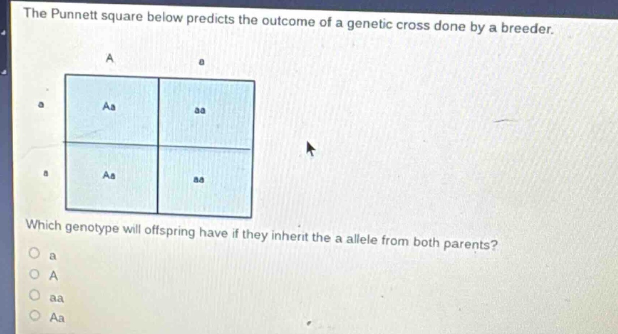 the punnett square below predicts the outcome of a genetic cross done by a breeder. which genotype will offspring have if they inherit the a allele from both parents? a a aa aa