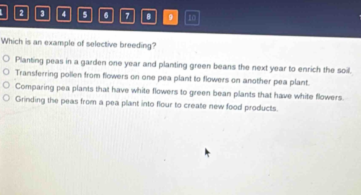 which is an example of selective breeding?\nplanting peas in a garden one year and planting green beans the next year to enrich the soil.\ntransferring pollen from flowers on one pea plant to flowers on another pea plant.\ncomparing pea plants that have white flowers to green bean plants that have white flowers.\ngrinding the peas from a pea plant into flour to create new food products.