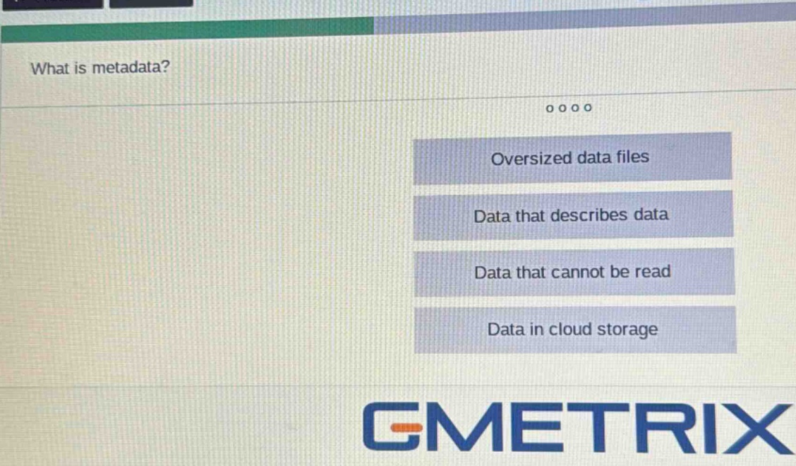 what is metadata? oversized data files data that describes data data that cannot be read data in cloud storage