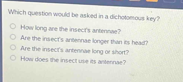 which question would be asked in a dichotomous key?\nhow long are the insects antennae?\nare the insects antennae longer than its head?\nare the insects antennae long or short?\nhow does the insect use its antennae?