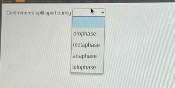 centromeres split apart during\nprophase\nmetaphase\nanaphase\ntelophase