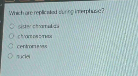 which are replicated during interphase?\n○ sister chromatids\n○ chromosomes\n○ centromeres\n○ nuclei