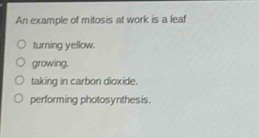 an example of mitosis at work is a leaf\n turning yellow.\n growing.\n taking in carbon dioxide.\n performing photosynthesis.