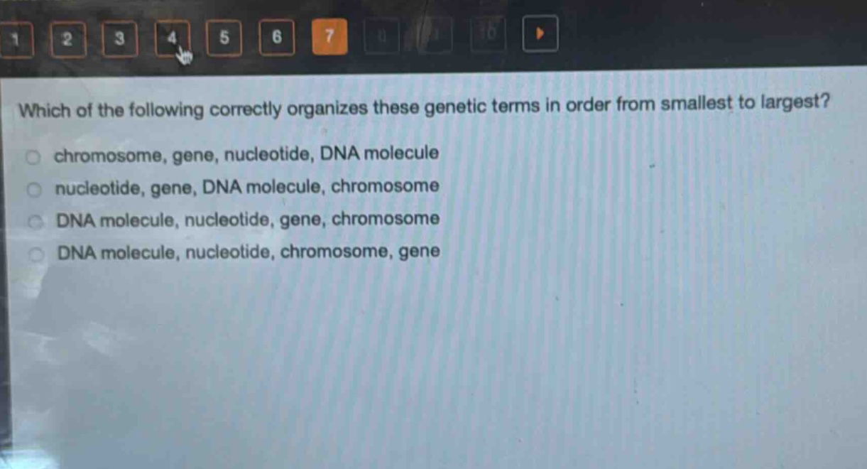 which of the following correctly organizes these genetic terms in order from smallest to largest?\nchromosome, gene, nucleotide, dna molecule\nnucleotide, gene, dna molecule, chromosome\ndna molecule, nucleotide, gene, chromosome\ndna molecule, nucleotide, chromosome, gene