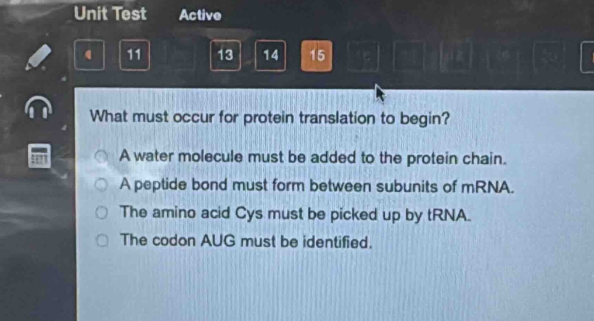 what must occur for protein translation to begin?\na water molecule must be added to the protein chain.\na peptide bond must form between subunits of mrna.\nthe amino acid cys must be picked up by trna.\nthe codon aug must be identified.