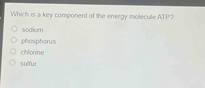 which is a key component of the energy molecule atp?\no sodium\no phosphorus\no chlorine\no sulfur