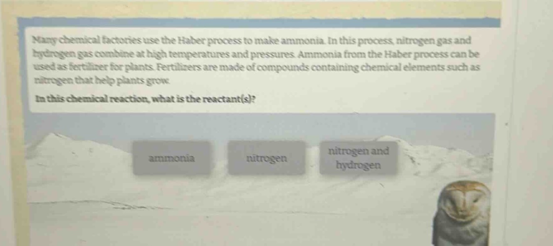many chemical factories use the haber process to make ammonia. in this process, nitrogen gas and hydrogen gas combine at high temperatures and pressures. ammonia from the haber process can be used as fertilizer for plants. fertilizers are made of compounds containing chemical elements such as nitrogen that help plants grow.\nin this chemical reaction, what is the reactant(s)?\nammonia\nnitrogen\nnitrogen and hydrogen