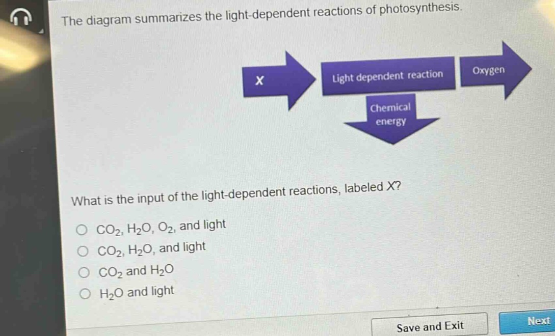 the diagram summarizes the light - dependent reactions of photosynthesis. what is the input of the light - dependent reactions, labeled x? co₂, h₂o, o₂, and light co₂, h₂o, and light co₂ and h₂o h₂o and light