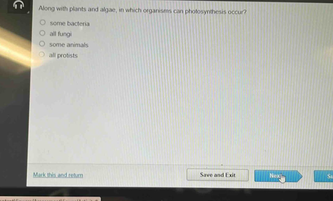 along with plants and algae, in which organisms can photosynthesis occur?\n some bacteria\n all fungi\n some animals\n all protists