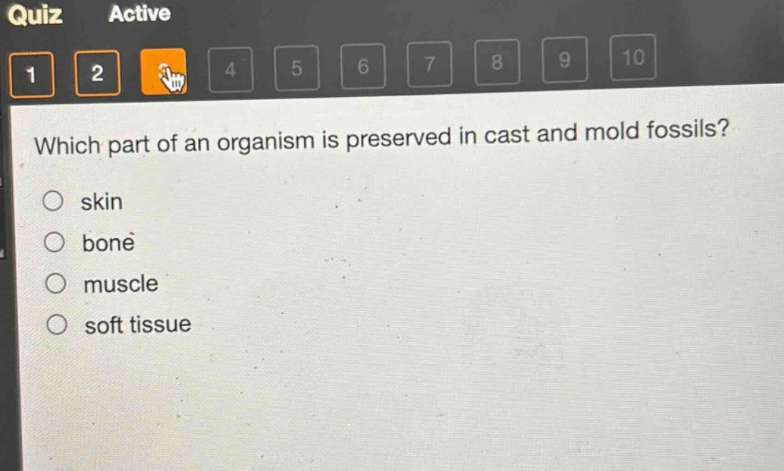 which part of an organism is preserved in cast and mold fossils?\nskin\nbone\nmuscle\nsoft tissue