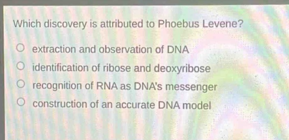 which discovery is attributed to phoebus levene?\n○ extraction and observation of dna\n○ identification of ribose and deoxyribose\n○ recognition of rna as dnas messenger\n○ construction of an accurate dna model