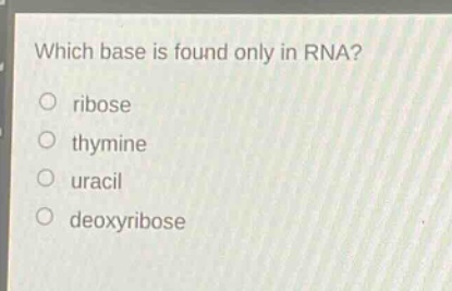 which base is found only in rna?\no ribose\no thymine\no uracil\no deoxyribose